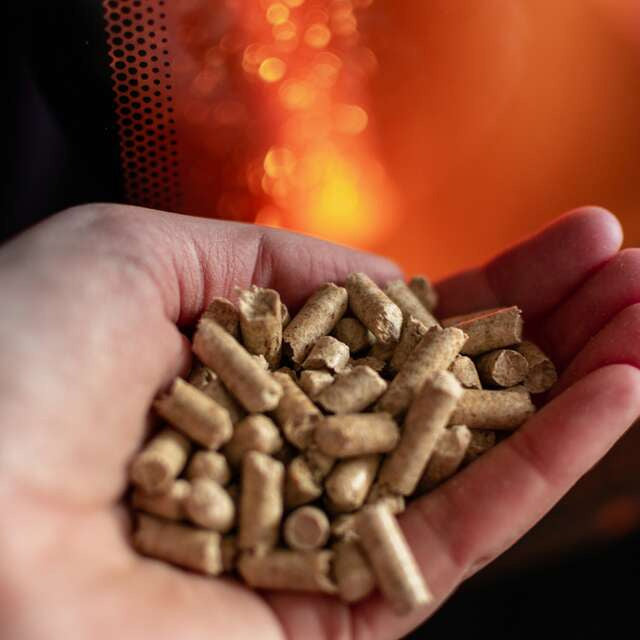 French pellets