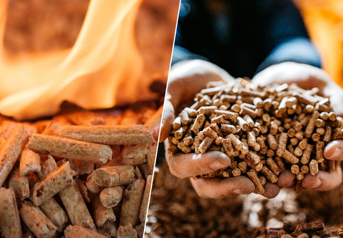 Avenir des granulés de bois