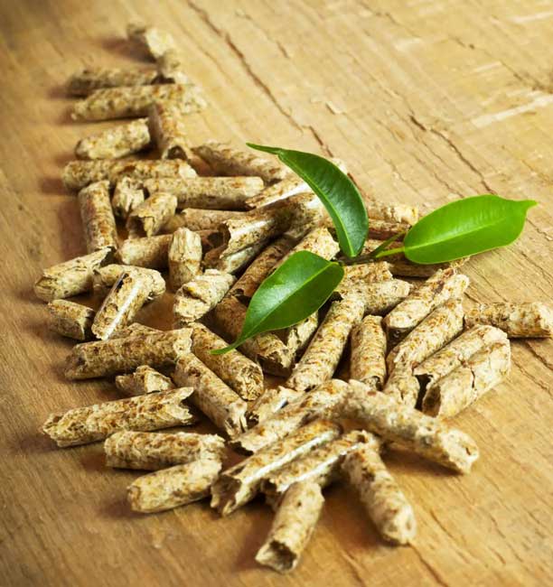 Fabrication granulés de bois Biosyl