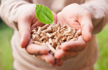 pellet PEFC et EN plus